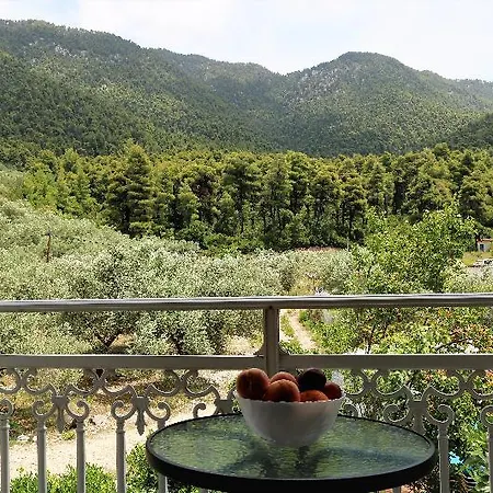 Elios Holidays 3*